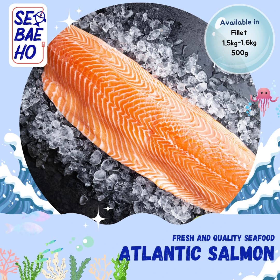 Atlantic Salmon