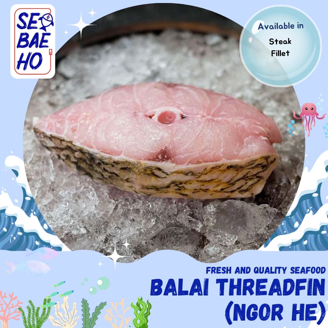 Balai Threadfin