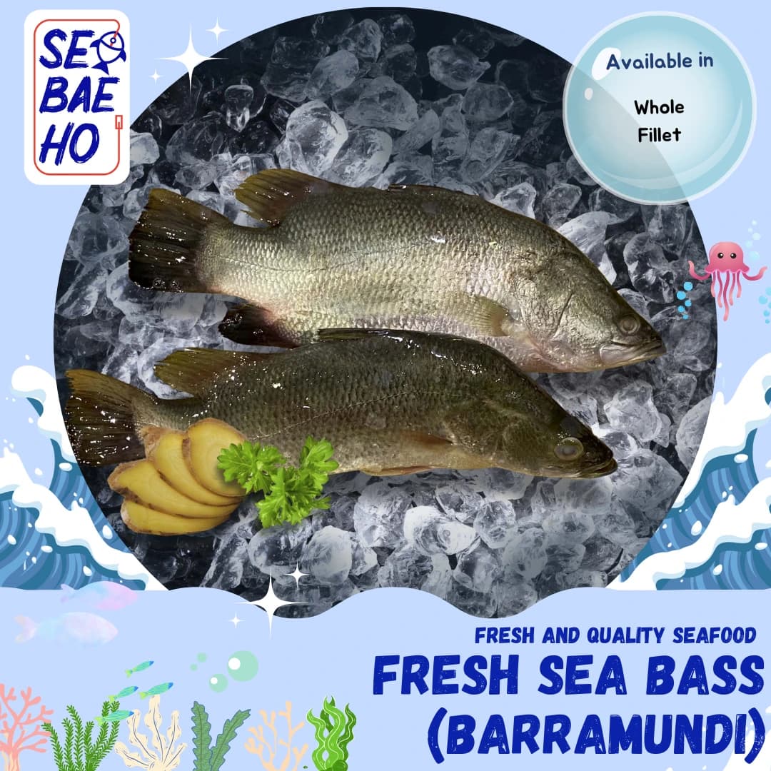 Sea Bass (Barramundi)
