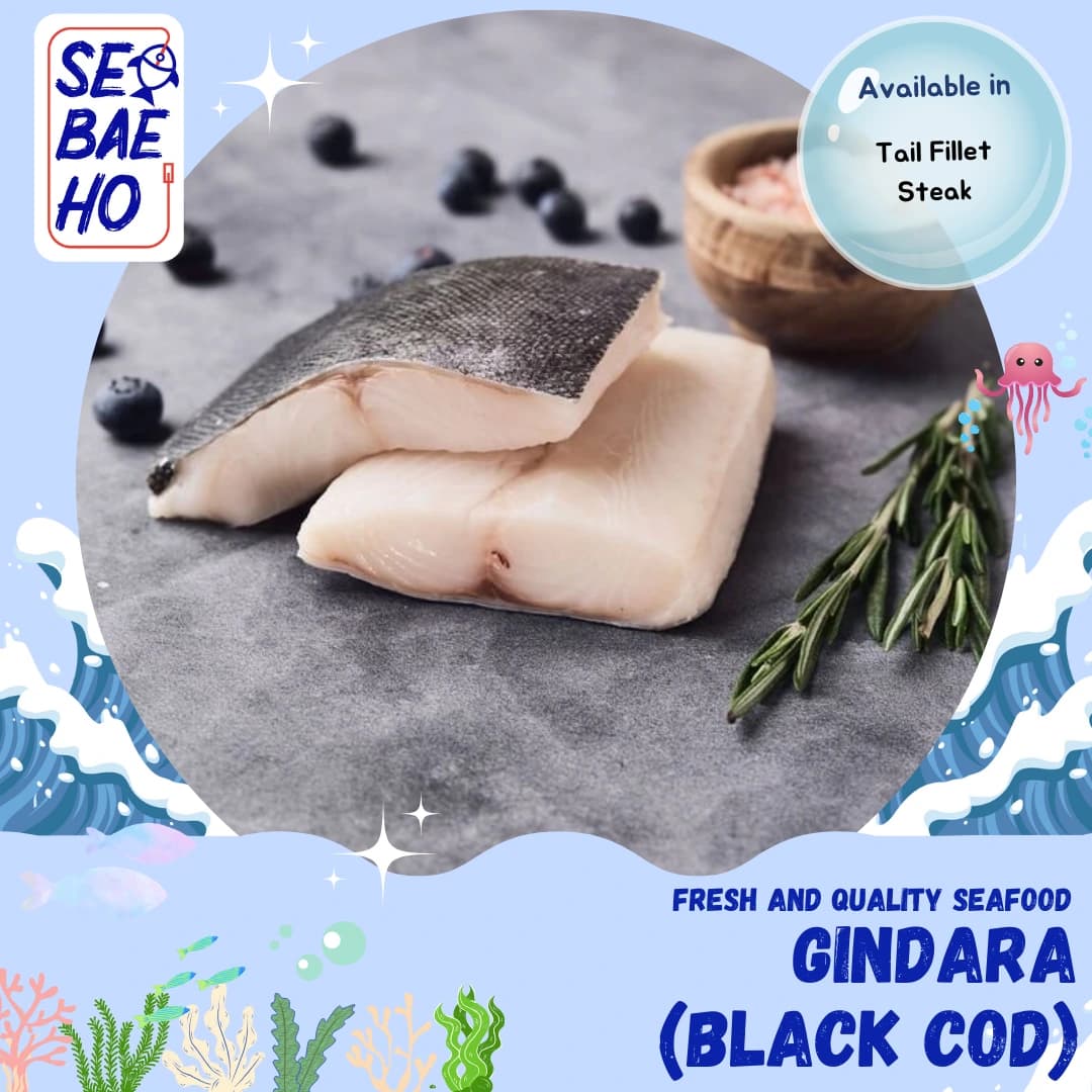 Black Cod (Gindara)