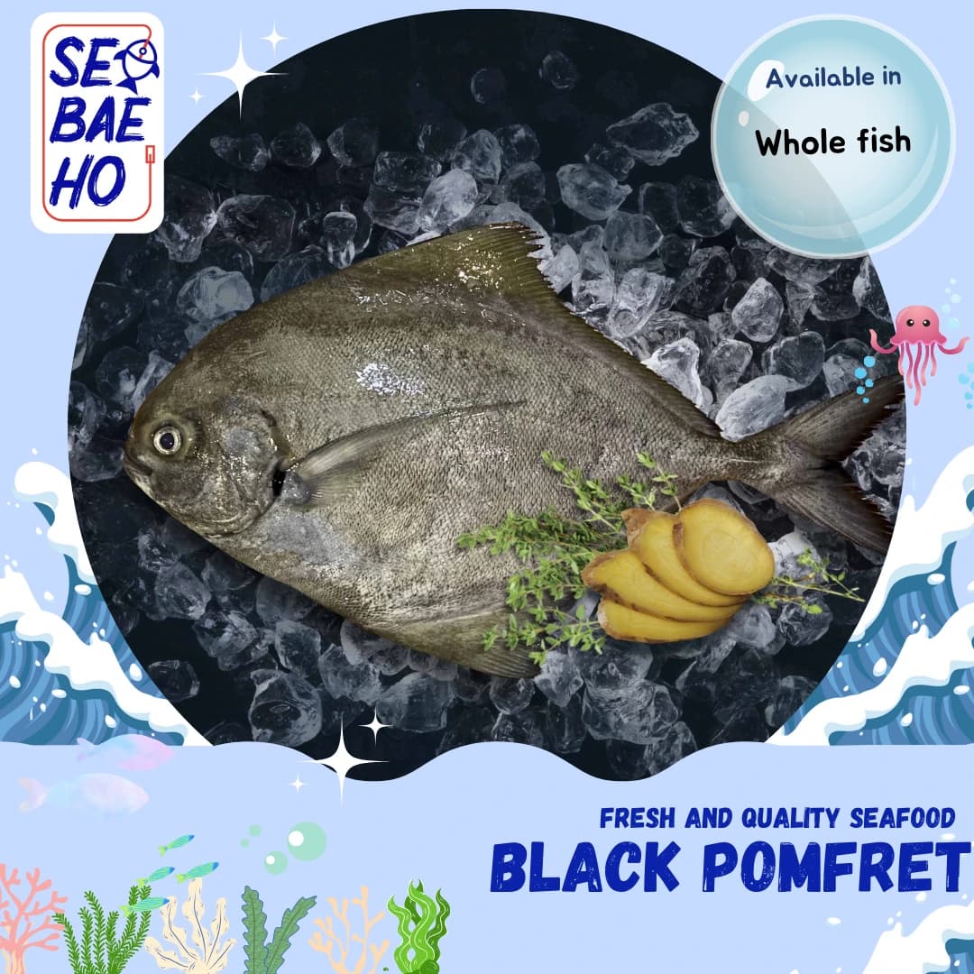 Black Pomfret