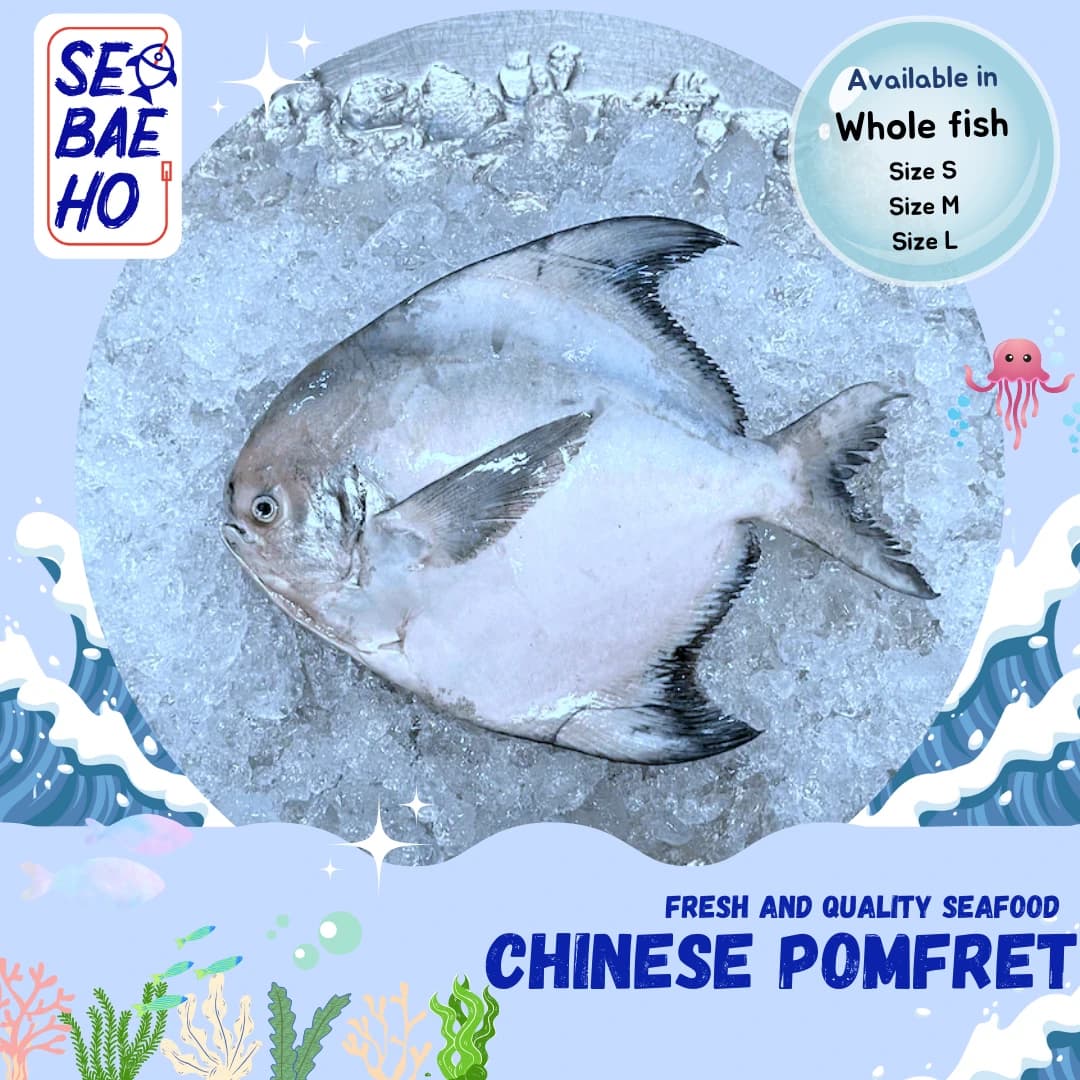 Chinese Pomfret