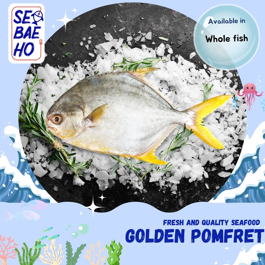 Golden Pomfret