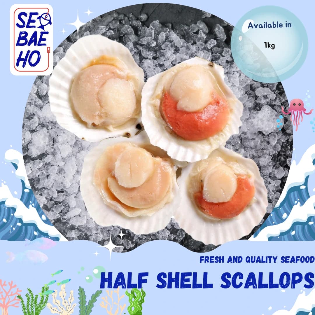 Half Shell Scallops
