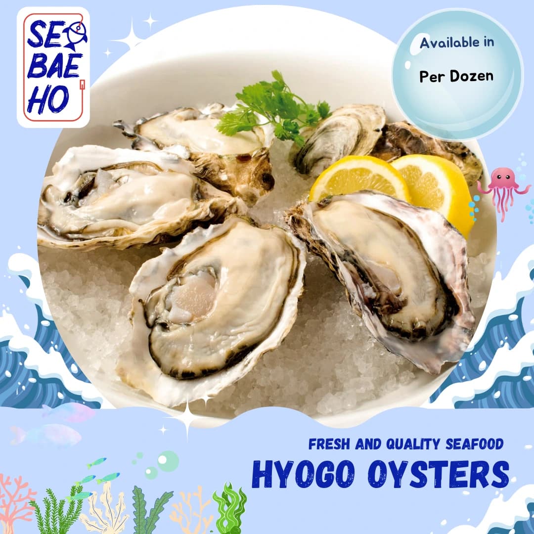 Hyogo Oysters
