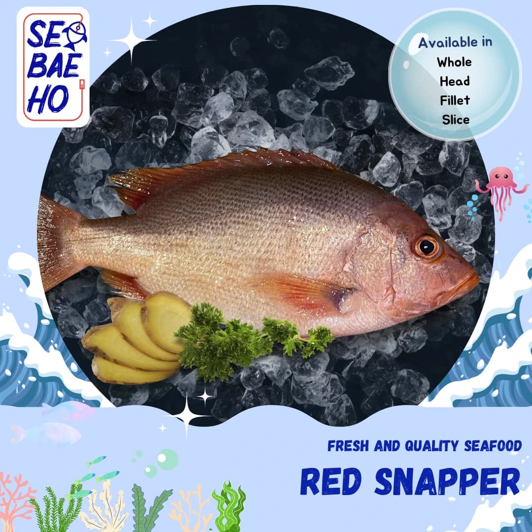 Red Snapper