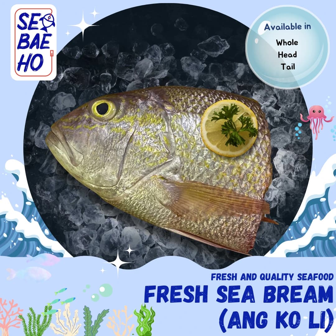 Sea Bream (Ang Ko Li)