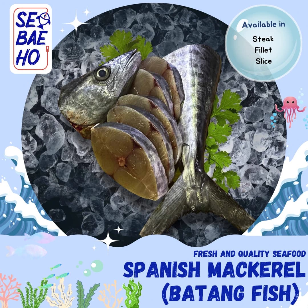 Spanish Mackerel