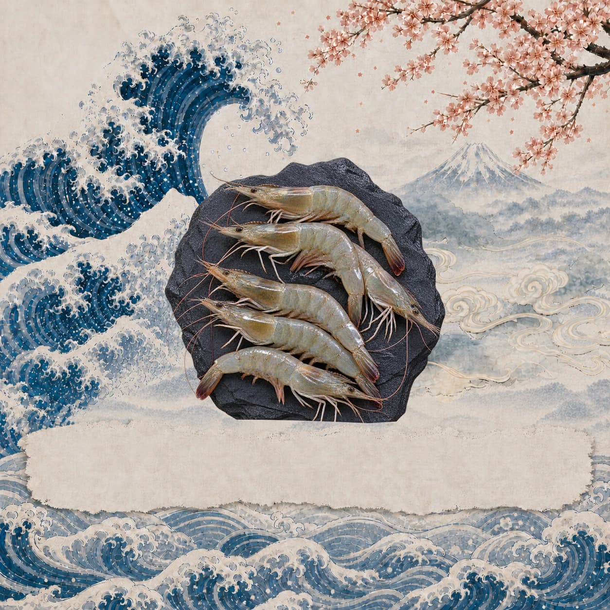 Vannamei Prawns (Farmed), 養殖南美白蝦